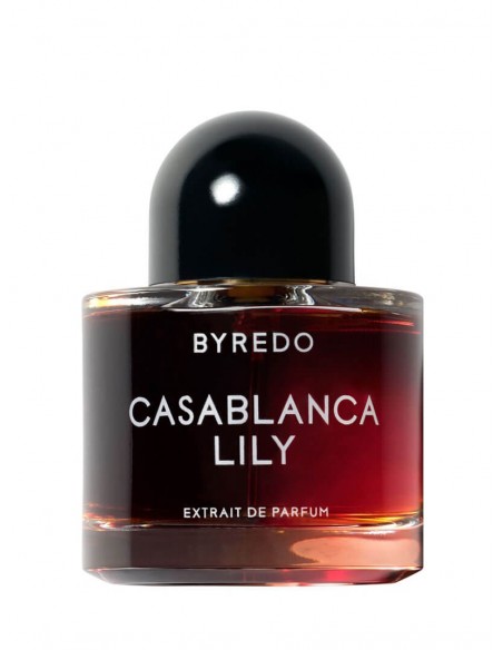 CASABLANCA LILY