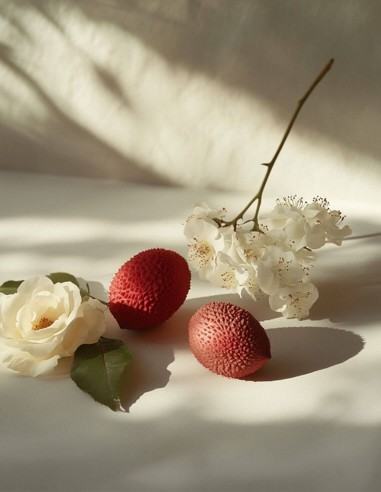 Eau de parfum ORENCIE - Chambre 52 | Liquides Parfums