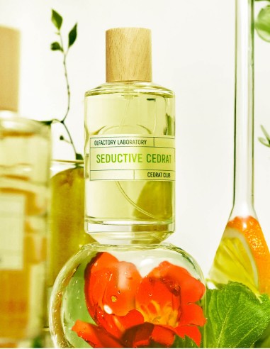 SEDUCTIVE CEDRAT