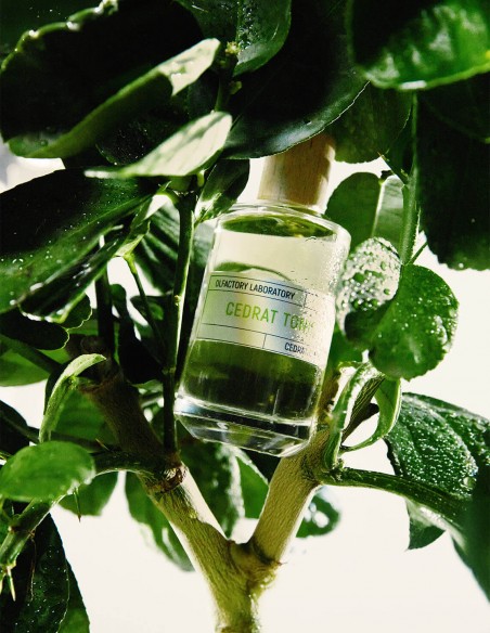 Eau de parfum CEDRAT TONIC - Liquides Imaginaires | Liquides Parfums