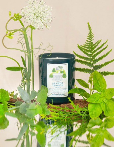 SCENTED CANDLE LE PETIT TRIANON
