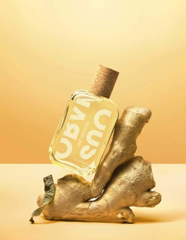 UNE VERVEINE 100ml - Obvious | Liquides Parfums