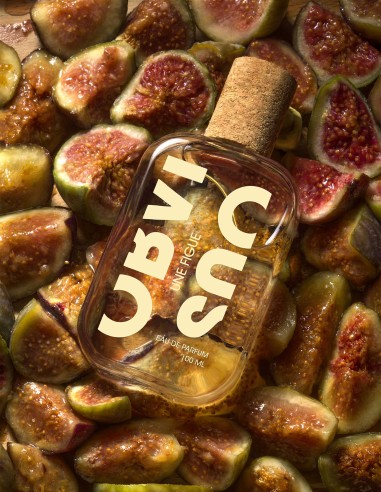 UNE FIGUE 100ml - Obvious Parfums | Liquides Parfums