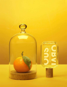 UNE FLEUR D'ORANGER 100ml - Obvious Parfums | Liquides Parfums 2