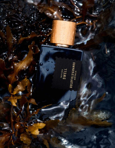 Extrait de parfum 100ml PACIFIC ROCK SWELL  Goldfield & Banks - Liquides Parfums 2