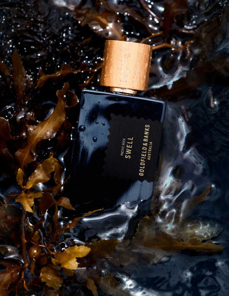 Extrait de parfum 100ml PACIFIC ROCK SWELL  Goldfield & Banks - Liquides Parfums